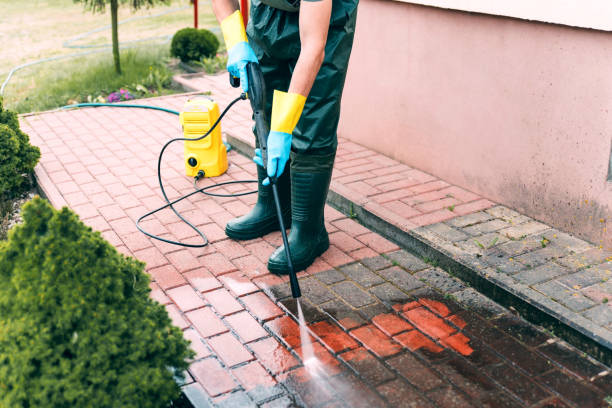 Best Roof Power Washing Services  in Corunna, MI