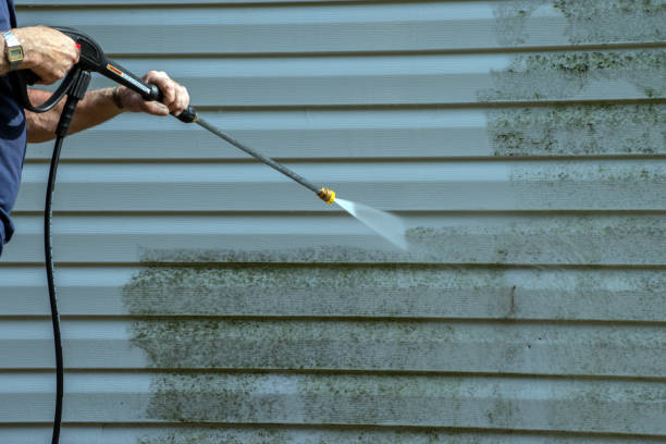 Best Garage Pressure Washing  in Corunna, MI