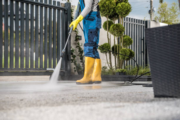 Best Roof Power Washing Services  in Corunna, MI
