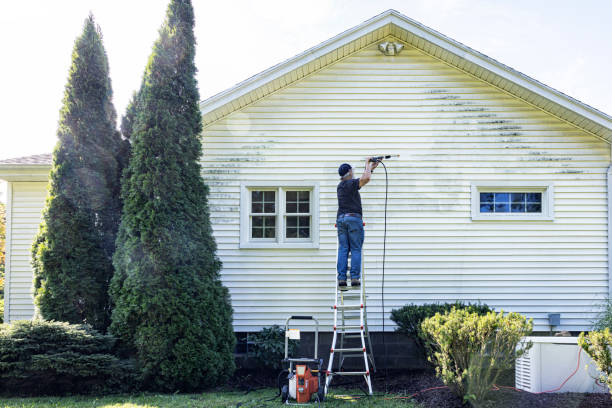 Best Deck Cleaning Services  in Corunna, MI