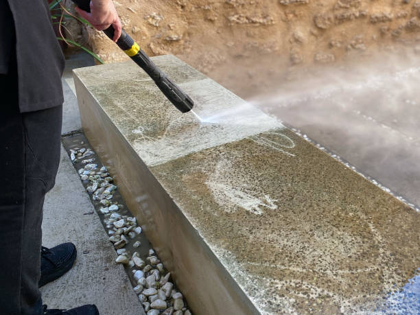 Best Pressure Washing Company Near Me  in Corunna, MI