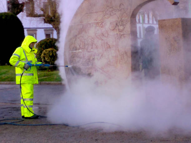 Best Fence Pressure Washing  in Corunna, MI