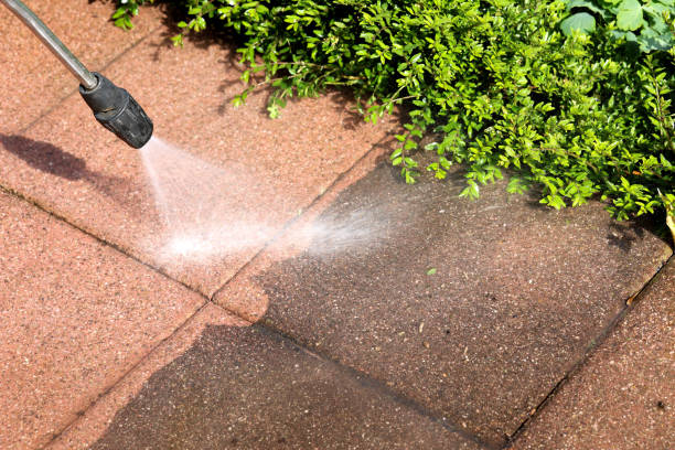 Best Residential Pressure Washing Services  in Corunna, MI